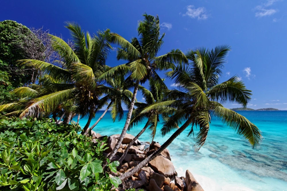 Beach in Seychelles